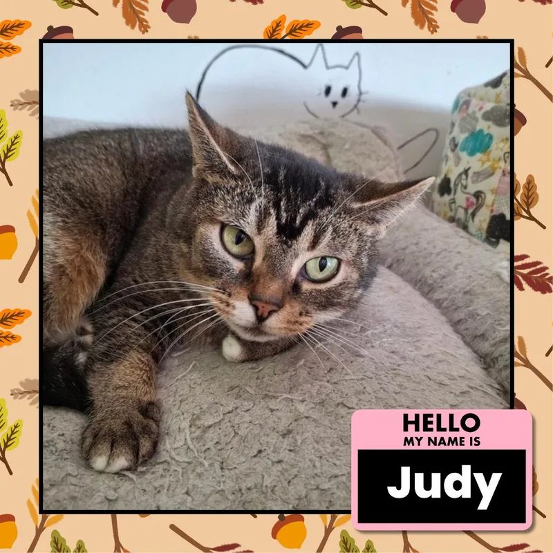 Judy thumbnail 3