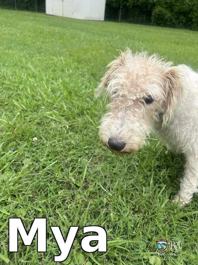 Mya thumbnail 2