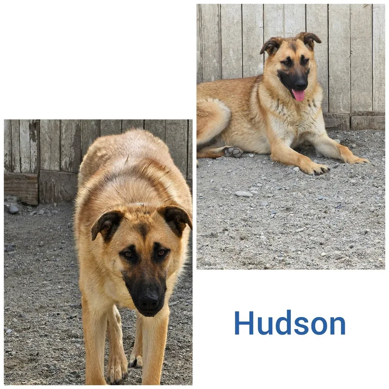 Hudson