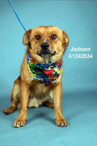 Jackson  Longtime Resident!
