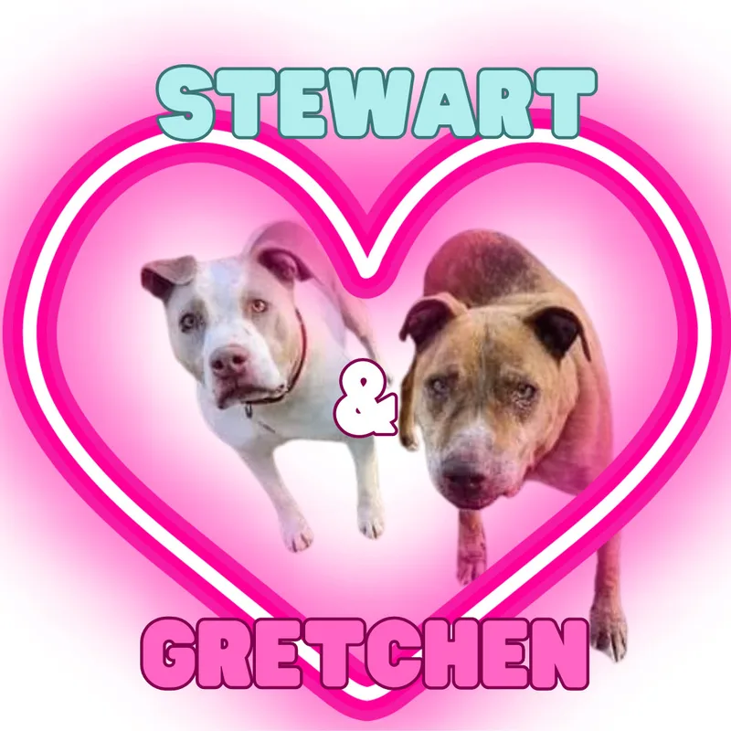 Gretchen thumbnail 2