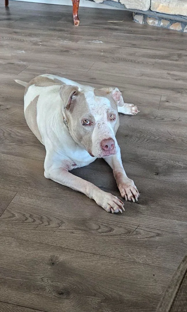 Gretchen thumbnail 3