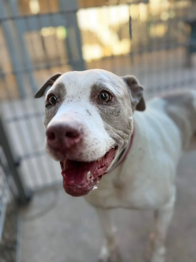 Gretchen thumbnail 5