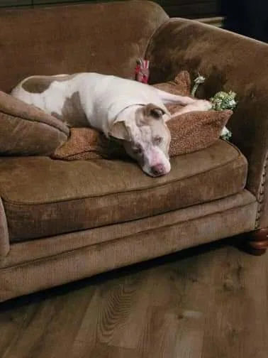 Gretchen thumbnail 6