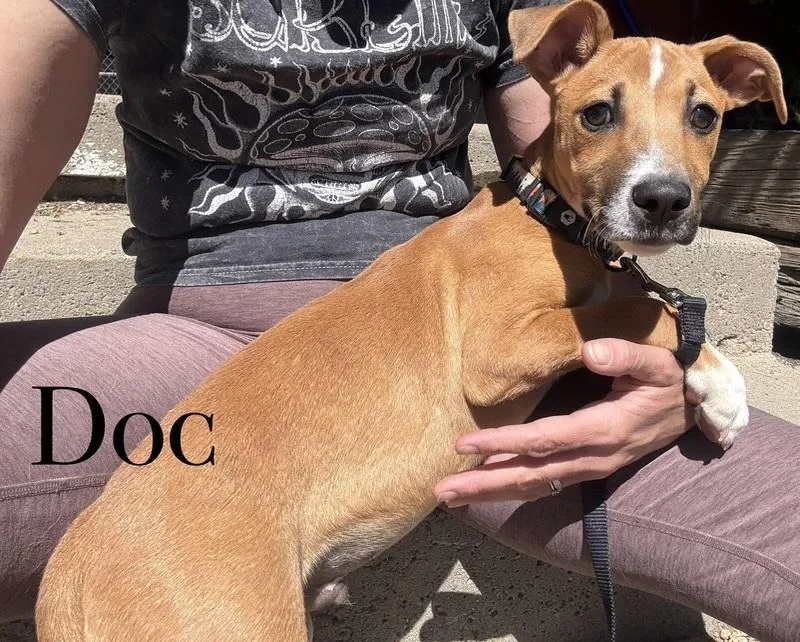 Doc