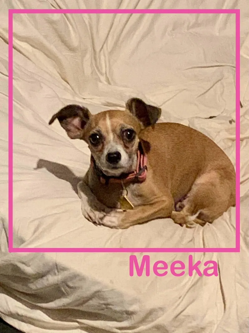Meeka