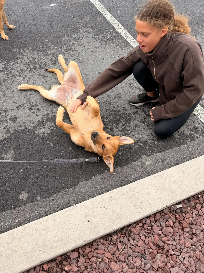Rosita  belly rub thumbnail 5