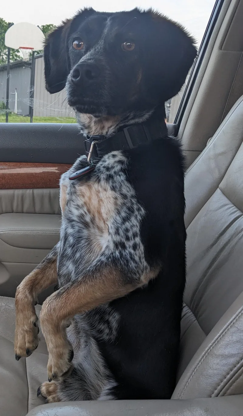 Jerry Garcia thumbnail 2