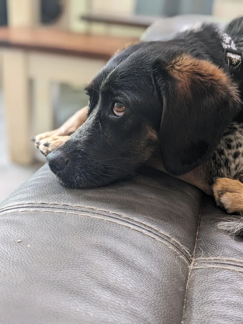 Jerry Garcia thumbnail 3