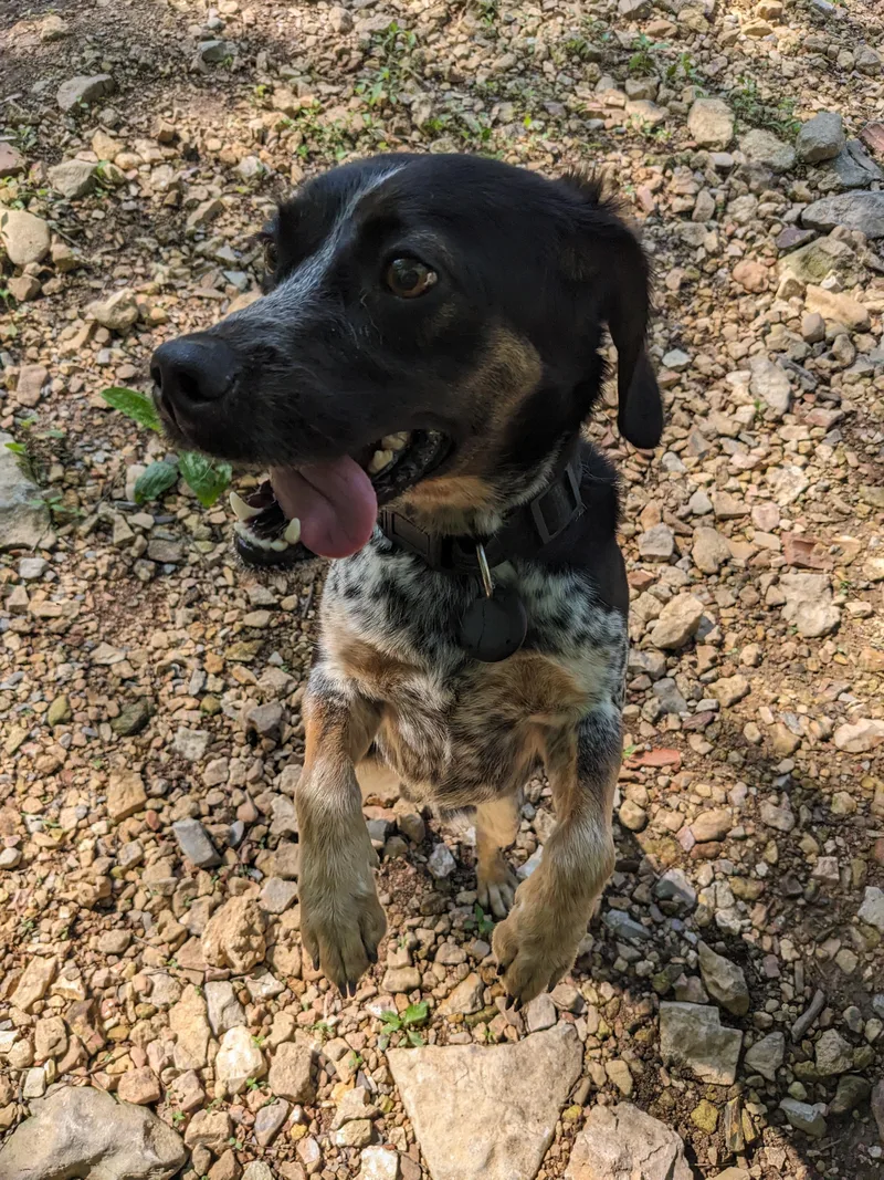 Jerry Garcia thumbnail 4