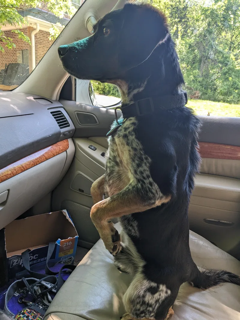 Jerry Garcia thumbnail 5