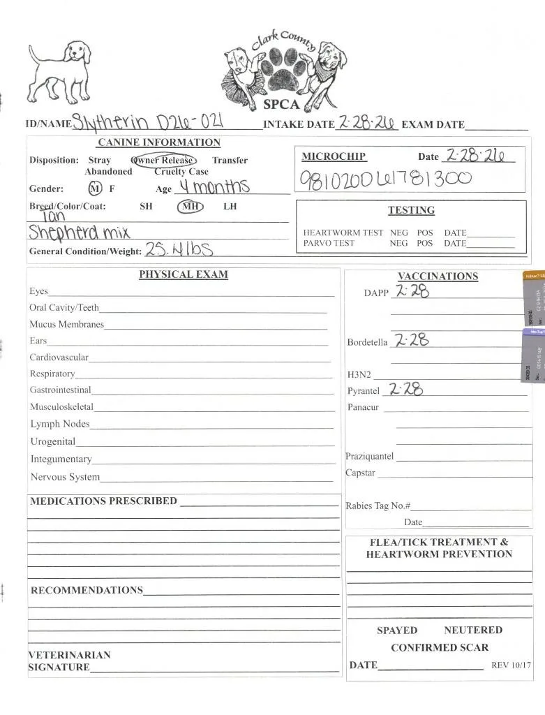 Slytherin thumbnail 3