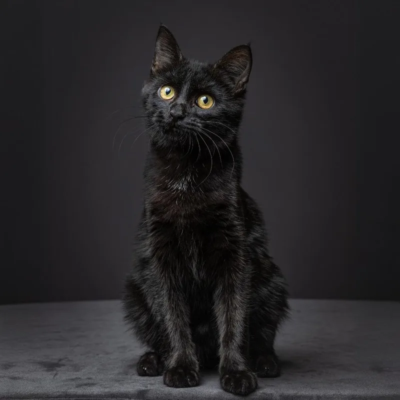 Stromboli thumbnail 2