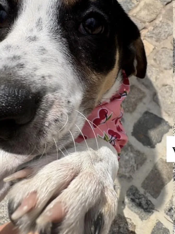 Wilma thumbnail 3