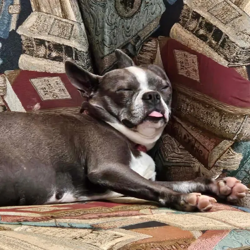 Gigi thumbnail 3