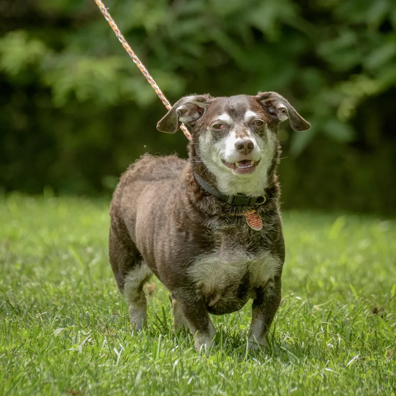 Little Man thumbnail 2