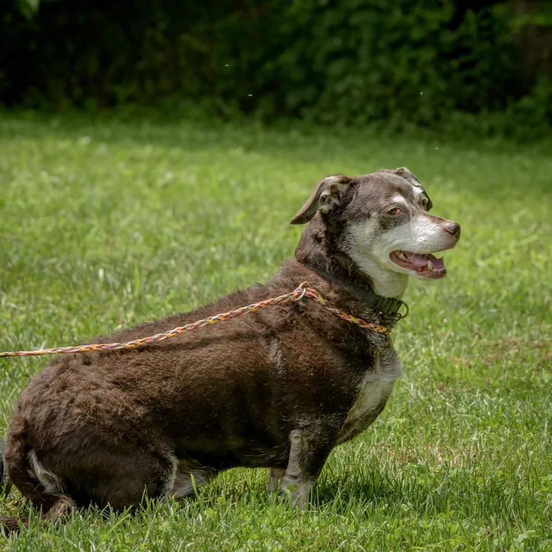 Little Man thumbnail 3