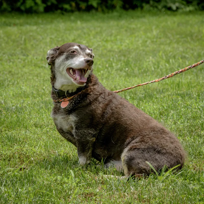 Little Man thumbnail 4