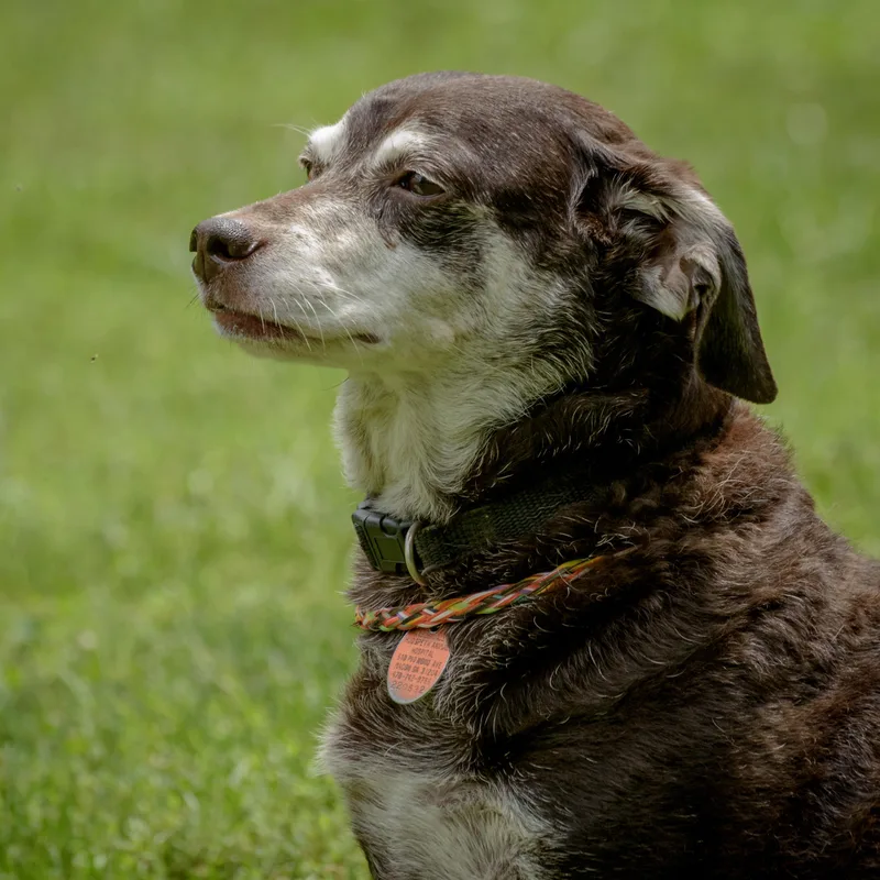 Little Man thumbnail 6