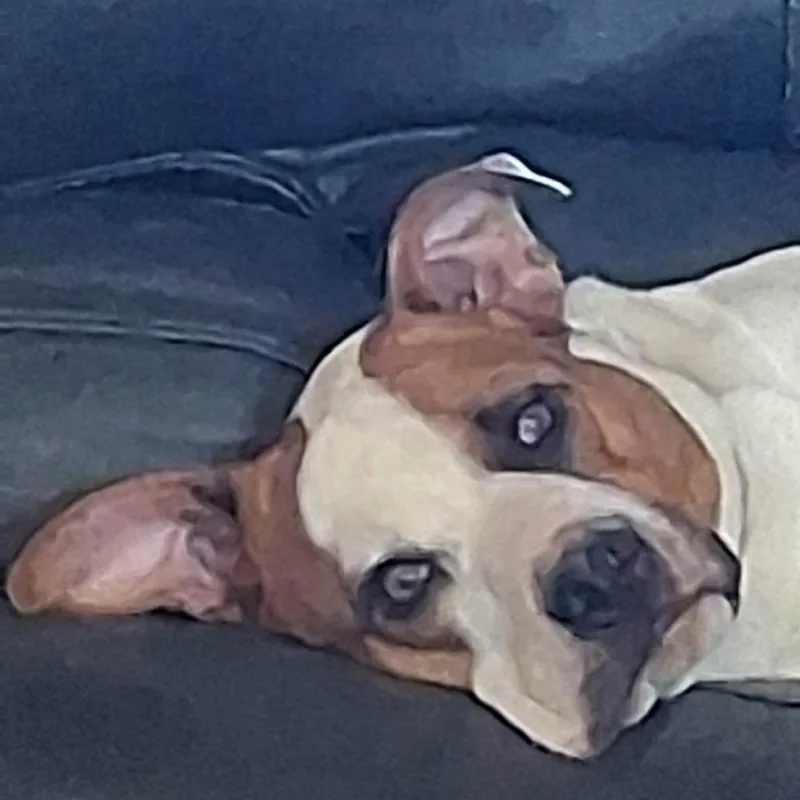 Lucy