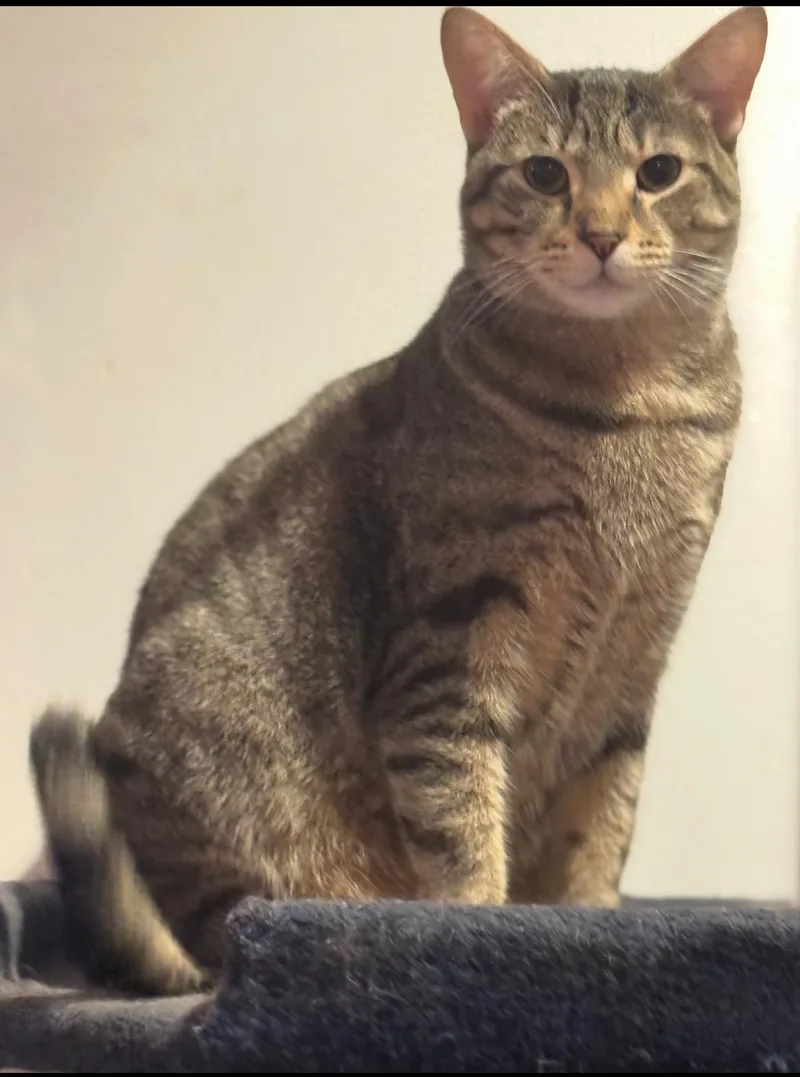 Sasha Fierce thumbnail 2