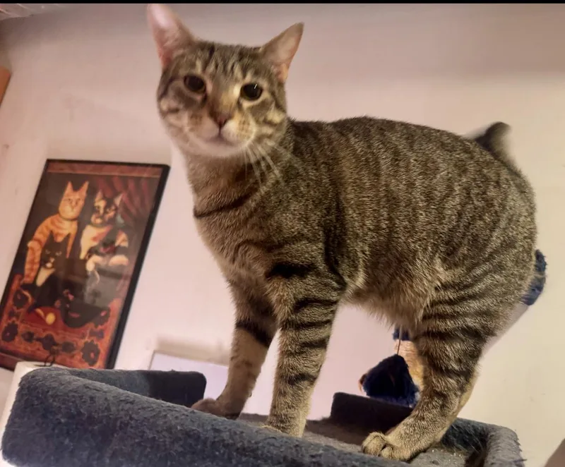 Sasha Fierce thumbnail 3