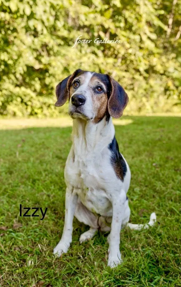 Izzy thumbnail 6