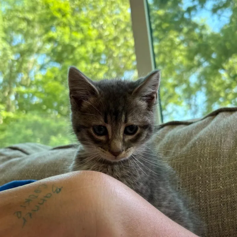Miss Sally thumbnail 2