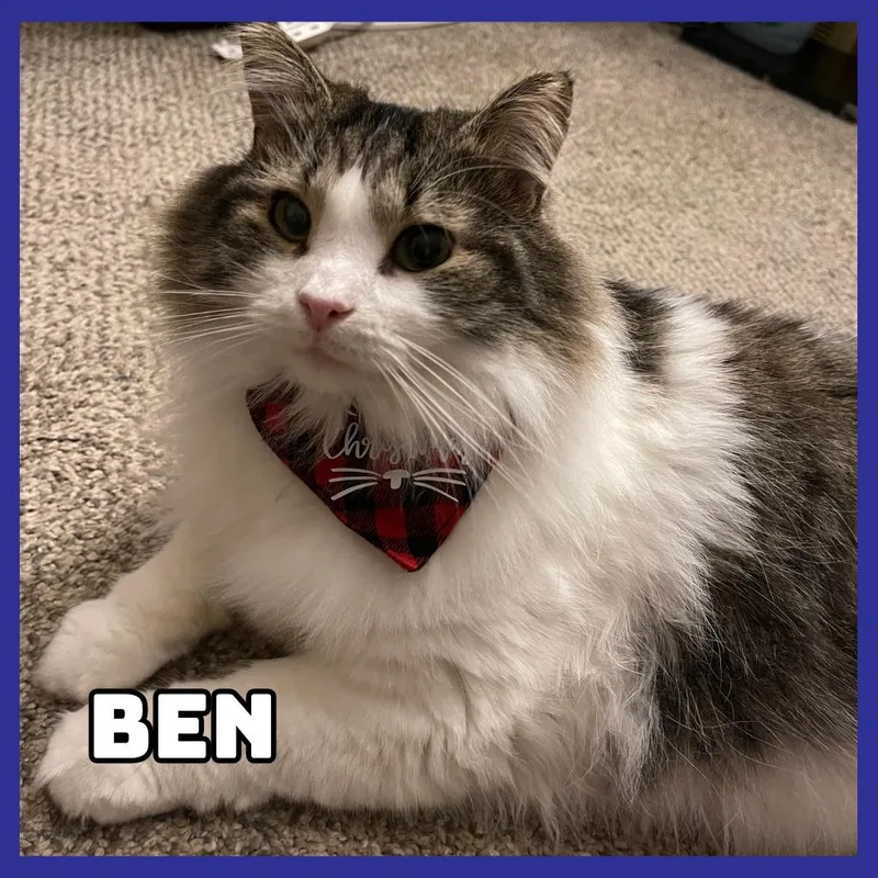 Ben