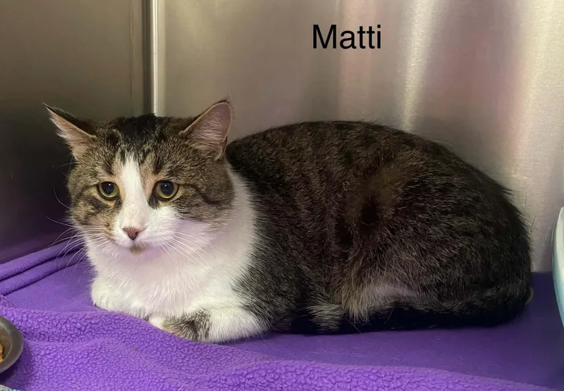 Mati thumbnail 3