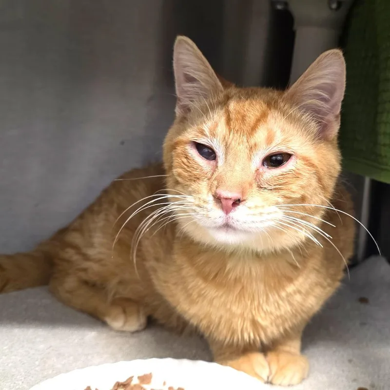 John Shen thumbnail 2