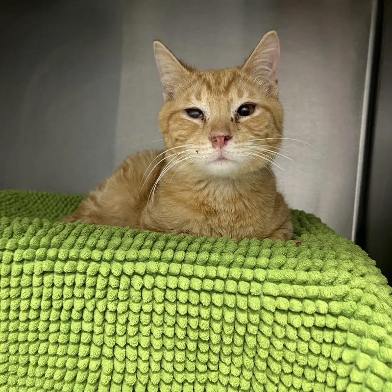 John Shen thumbnail 3