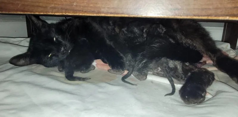 Missy thumbnail 5