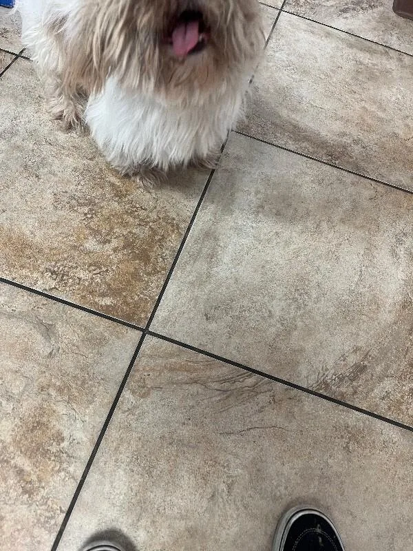 Macaroni