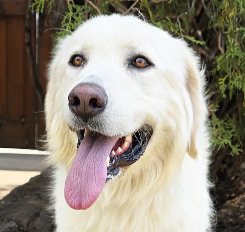 Winsome Ms Wilma Pyr