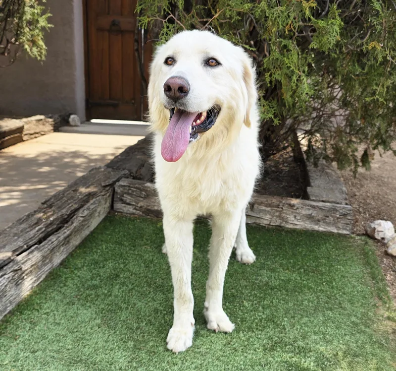 Winsome Ms Wilma Pyr thumbnail 2