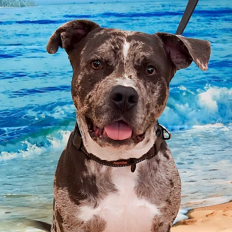 Freckles thumbnail 3