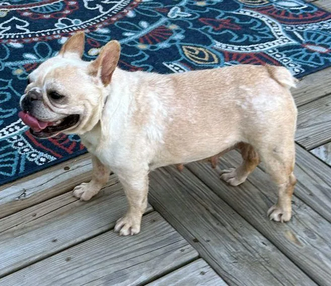 Fiona