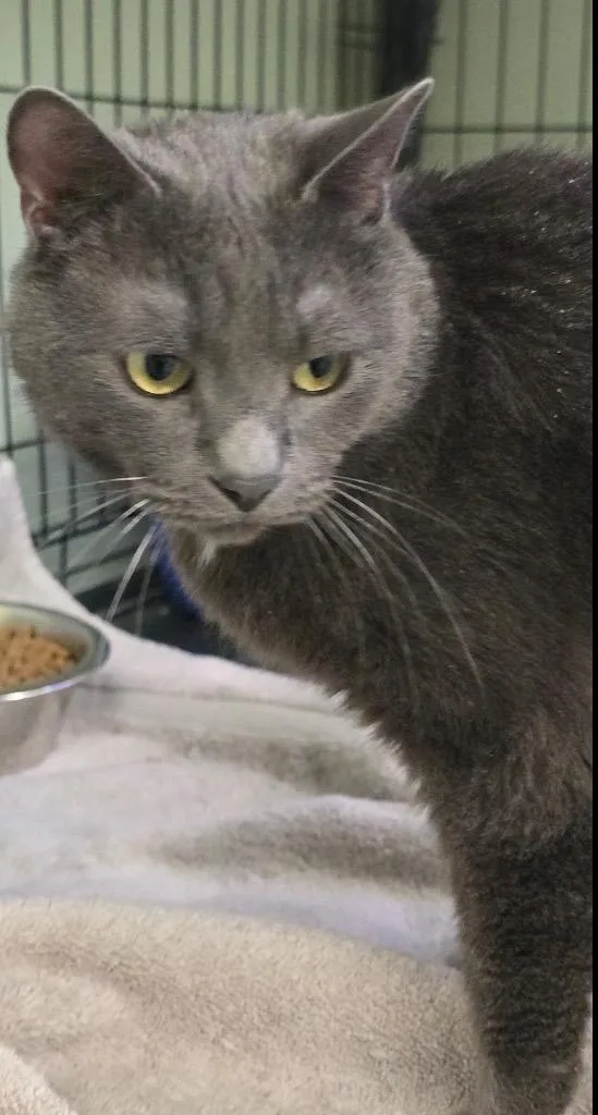 Einstein thumbnail 5