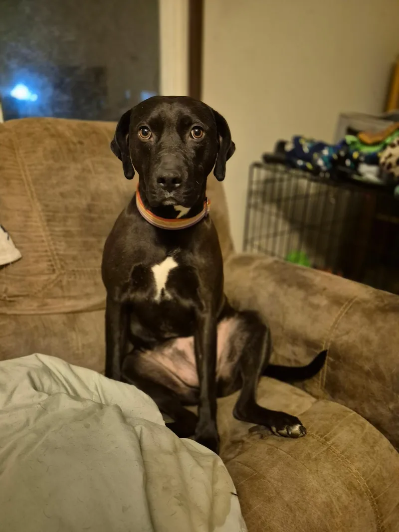 Bobbie Jo thumbnail 2