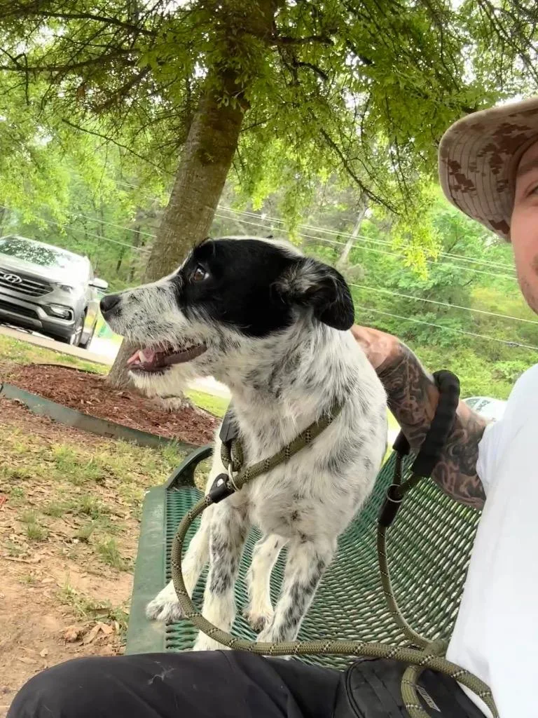 Spotty Pippen thumbnail 2