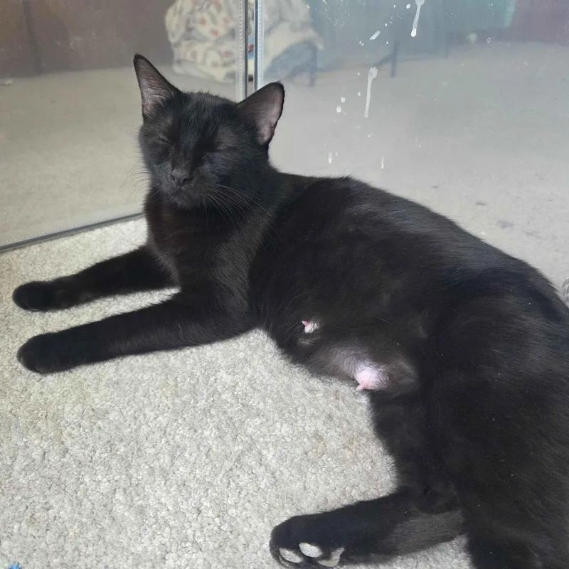 Princess Warwick thumbnail 2