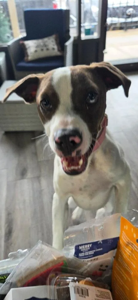 Jenny Aka Bingo thumbnail 2