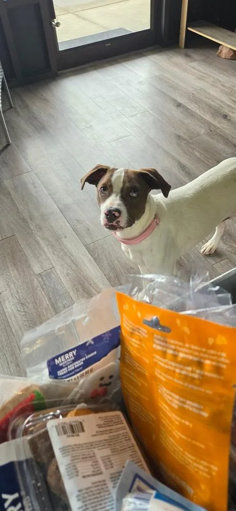 Jenny Aka Bingo thumbnail 3