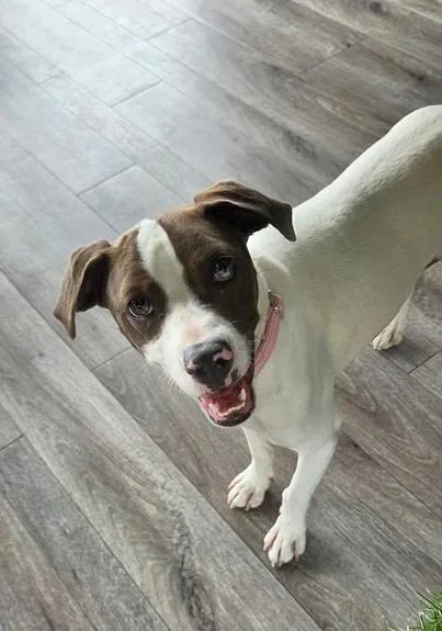 Jenny Aka Bingo thumbnail 5