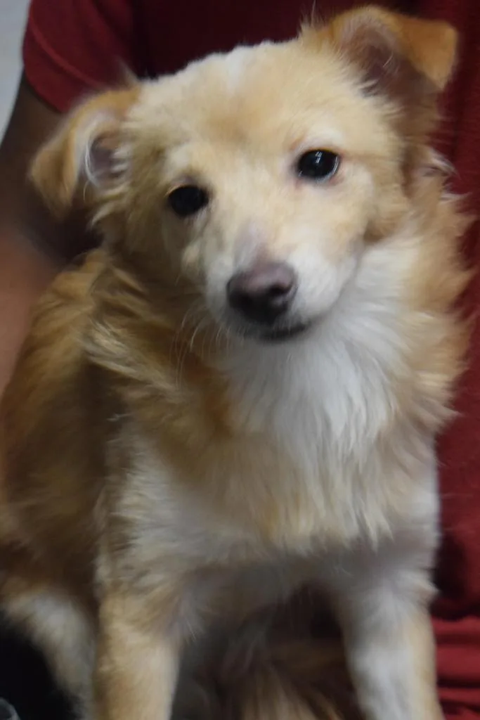 Skye