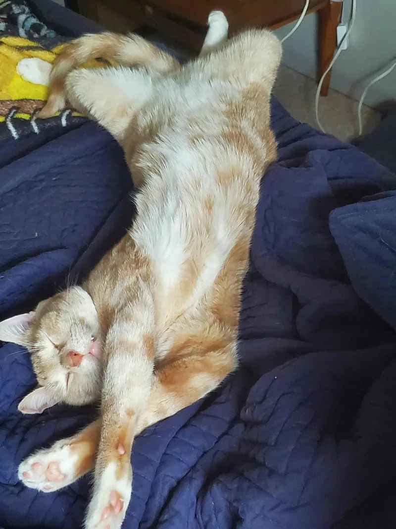 KOVU   Offered thumbnail 2