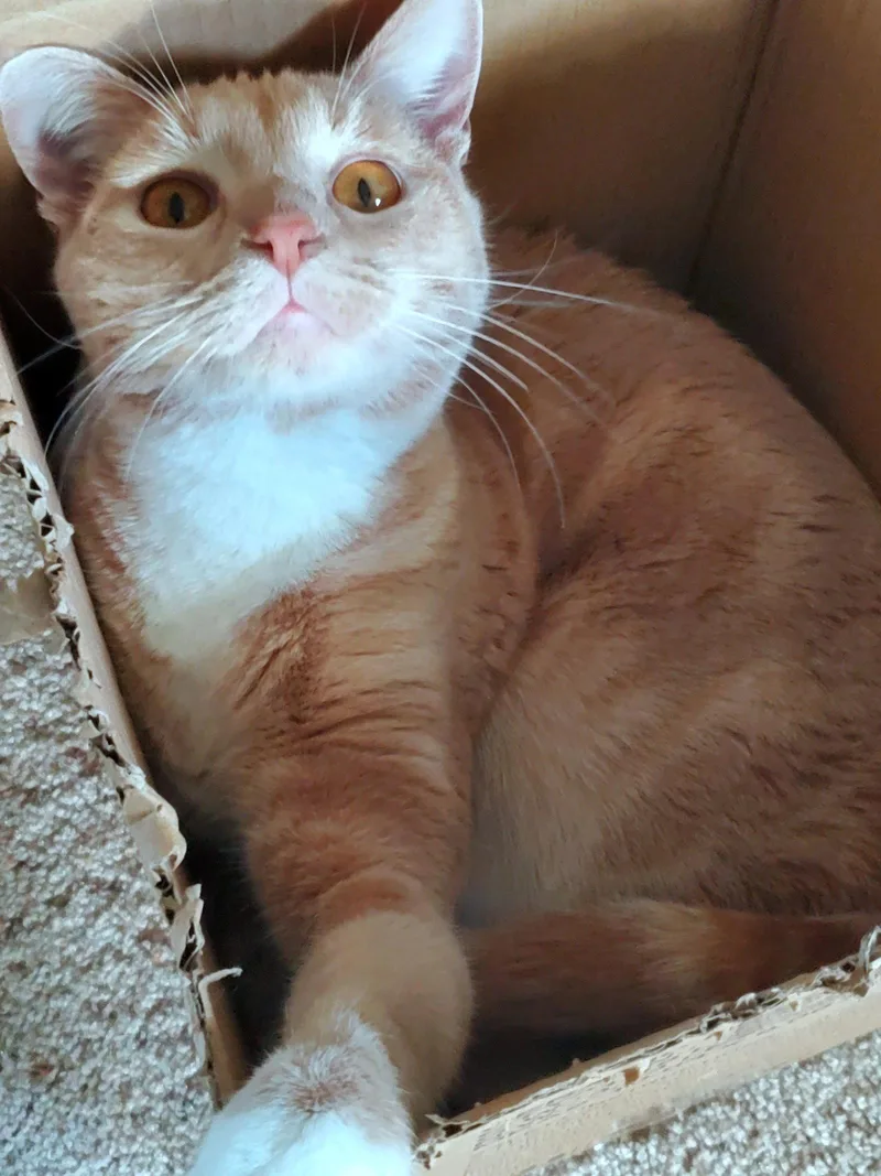 KOVU   Offered thumbnail 3