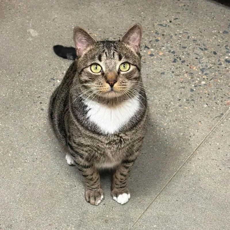 Mr. Whiskers thumbnail 2