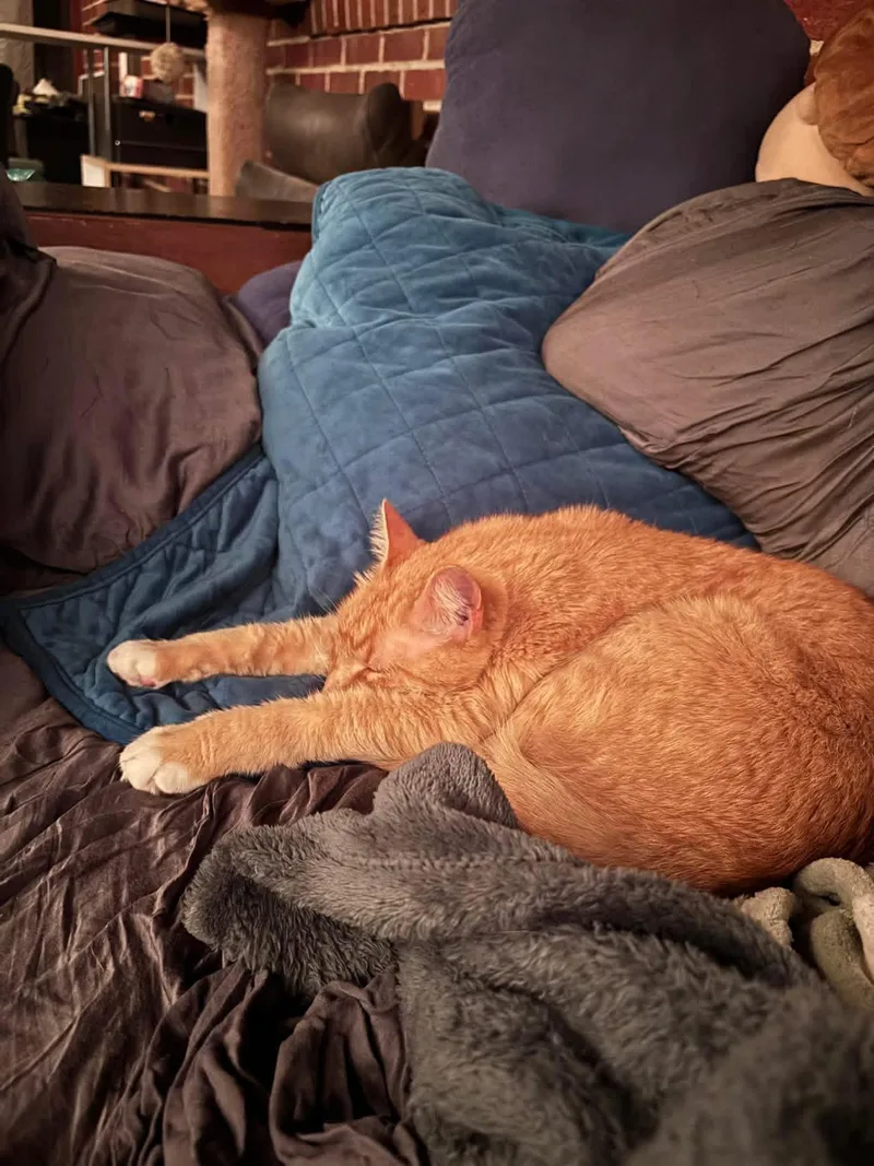 Caramel